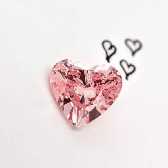 Meet your Posher, Vashti - Picture 7 of 13